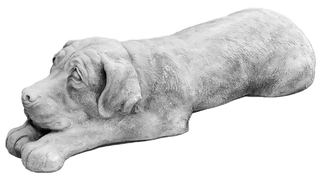 Hunde