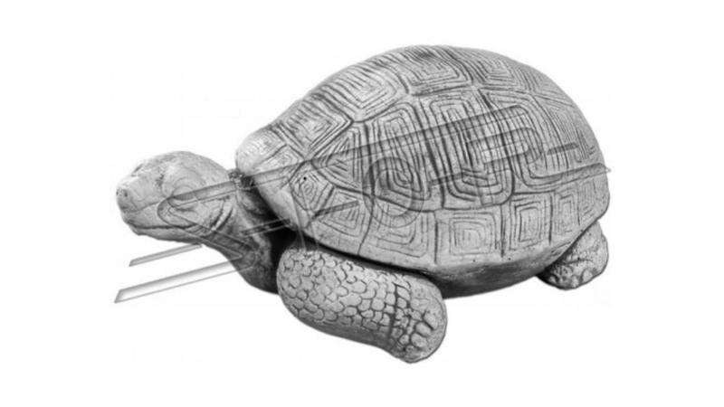 Schildkröten
