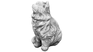 Katzen