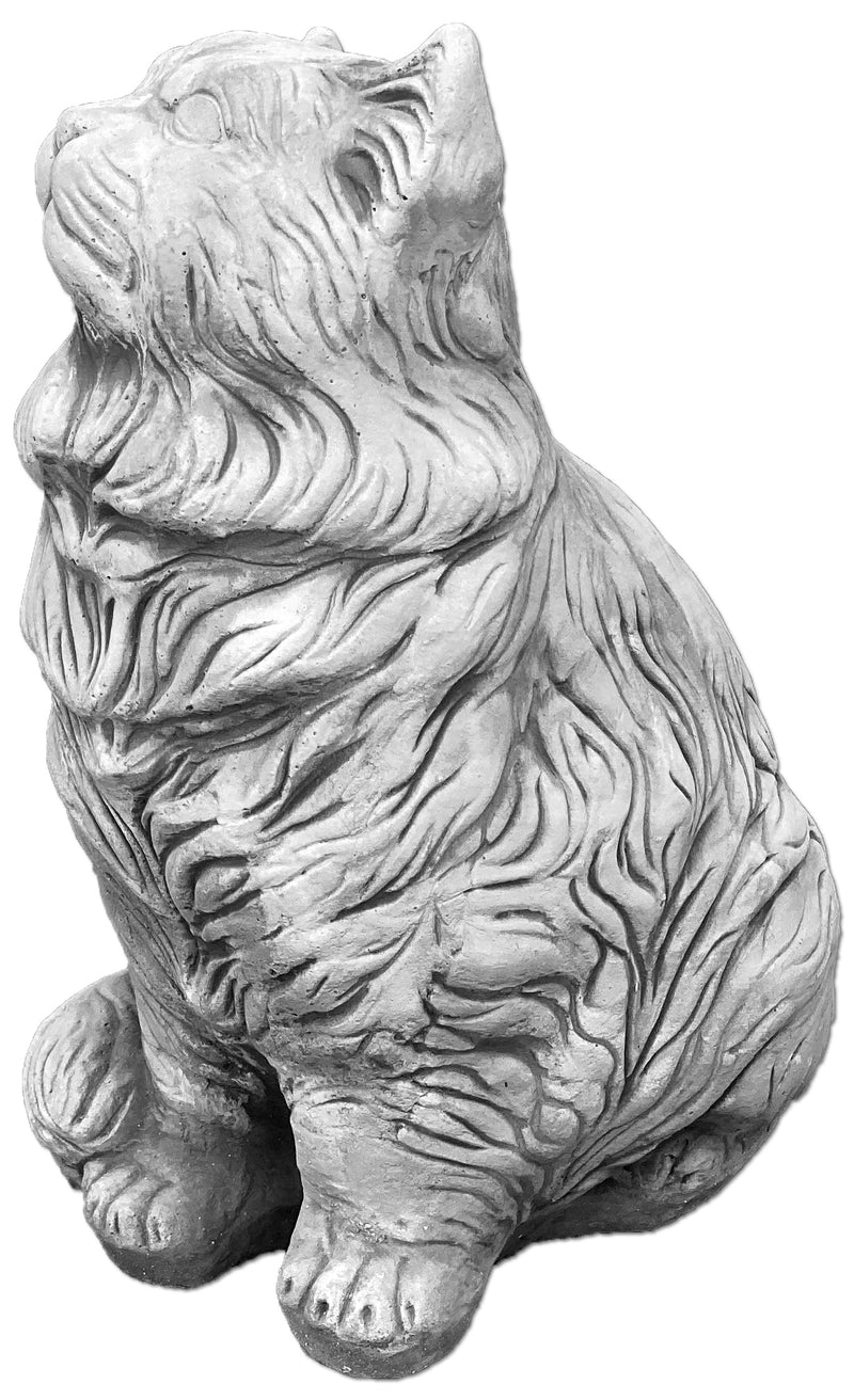 Katzen