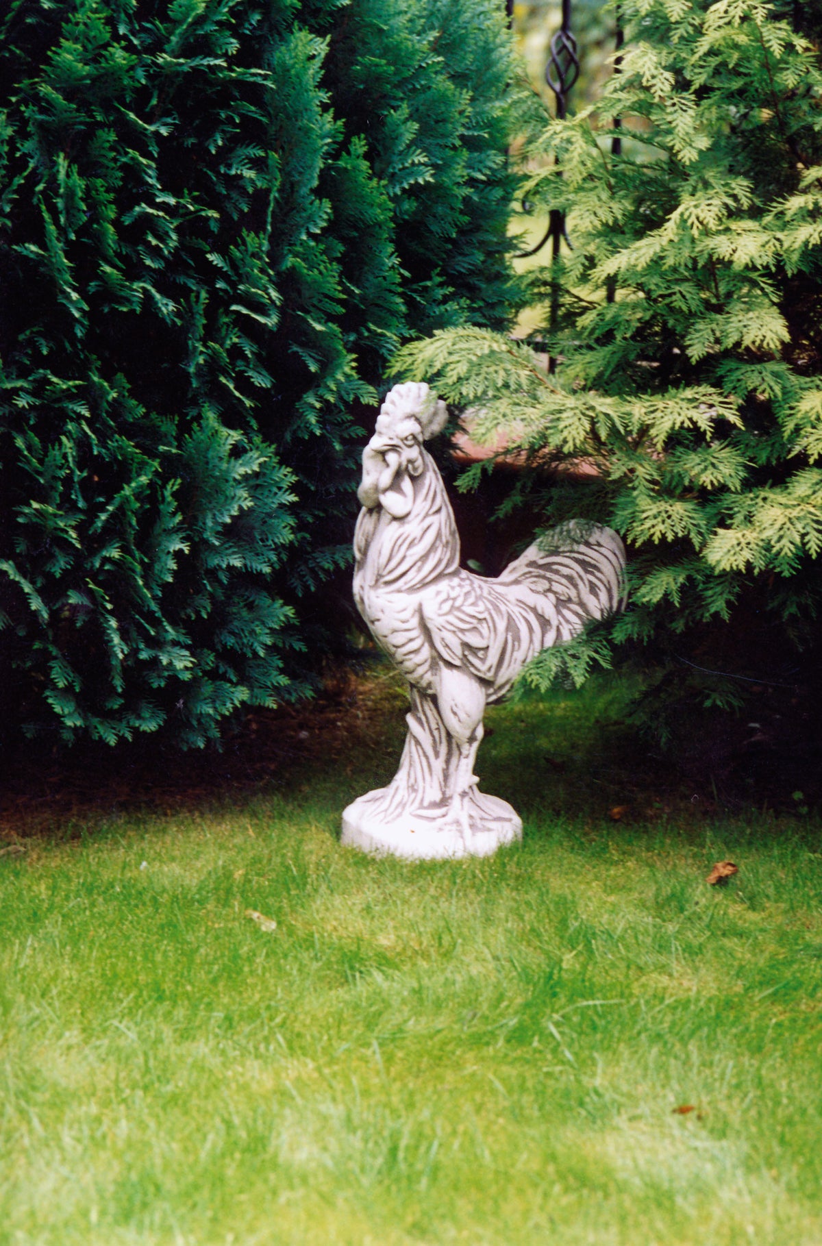 Huhn 195, H: 64 cm, 25 kg