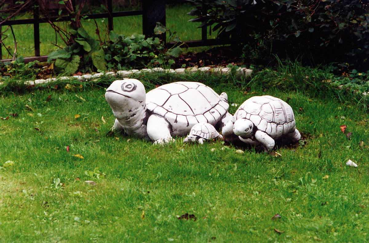 Schildkröte 223, H: 31 cm, 71 kg