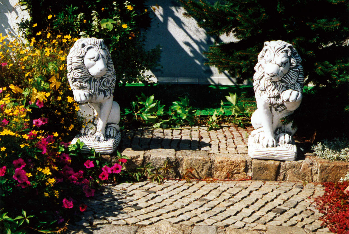 Löwe 226, H: 68 cm, 79 kg