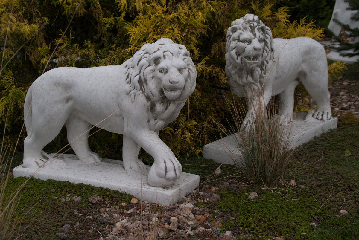 Löwe S103010, H: 59 cm, 75 kg