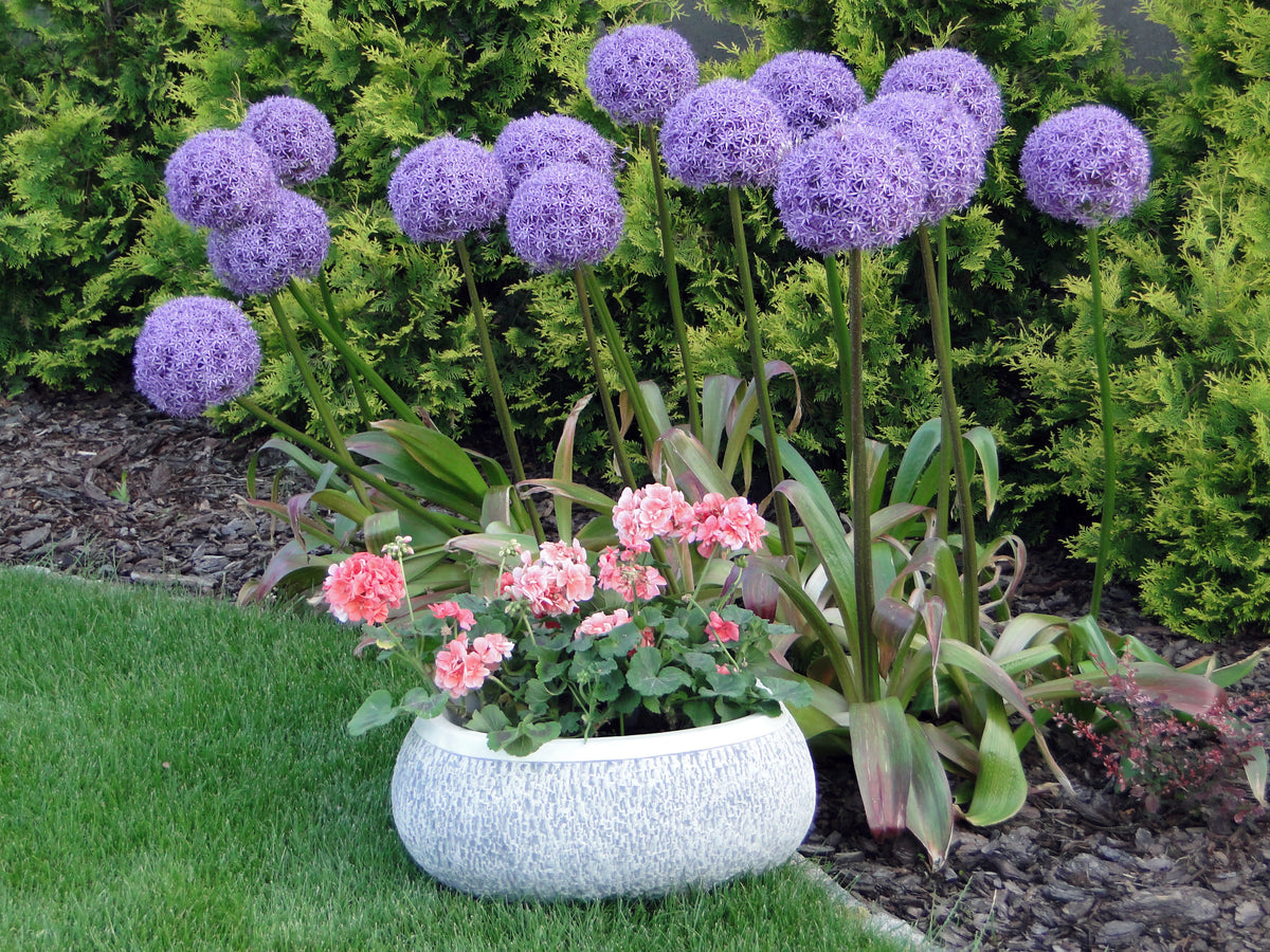 Pflanzgefäß S204052, H: 25 cm, 59 kg