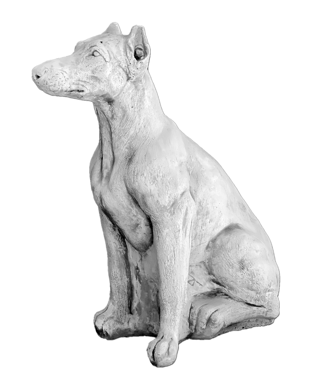 Hund S103951, H: 79 cm, 104 kg