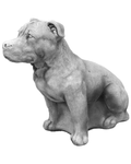 Hund S103937, H: 63cm, 98kg
