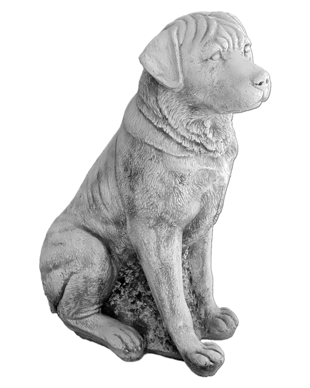 Hund S103947, H: 67 cm, 70 kg