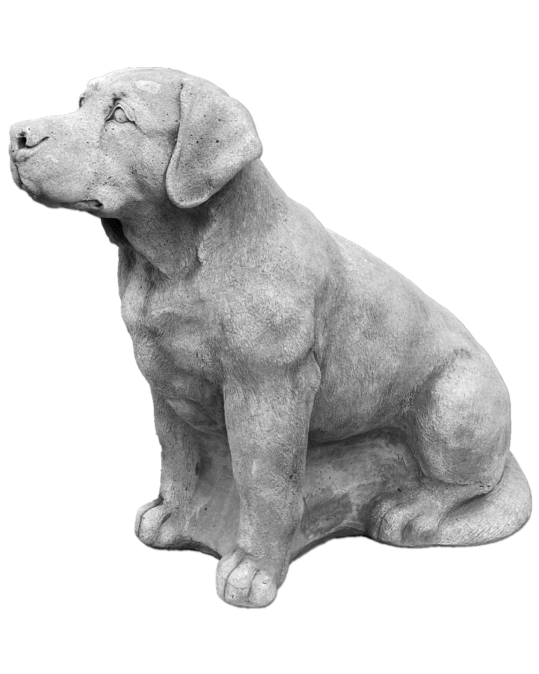 Hund S103938, H: 60 cm, 94 kg
