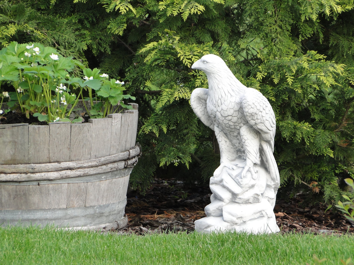 Adler S103027, H: 60 cm, 35 kg
