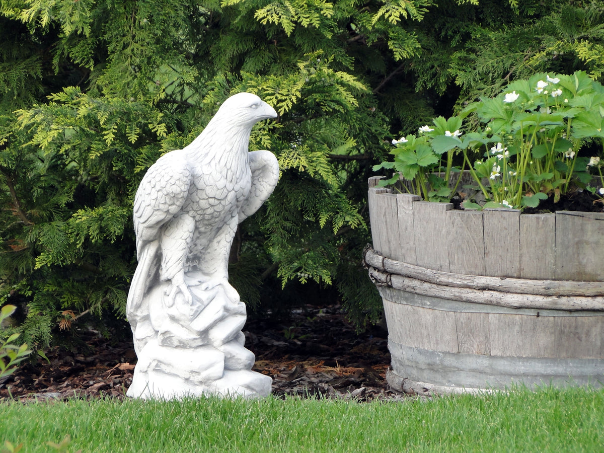 Adler S103046, H: 60 cm, 35 kg