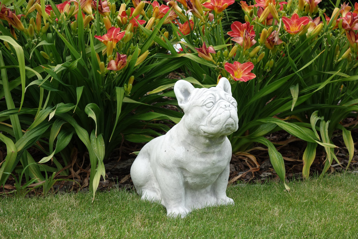 Hund S103081, H: 39 cm, 31 kg
