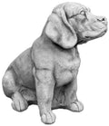 Hund S103885, H: 46 cm, 37 kg