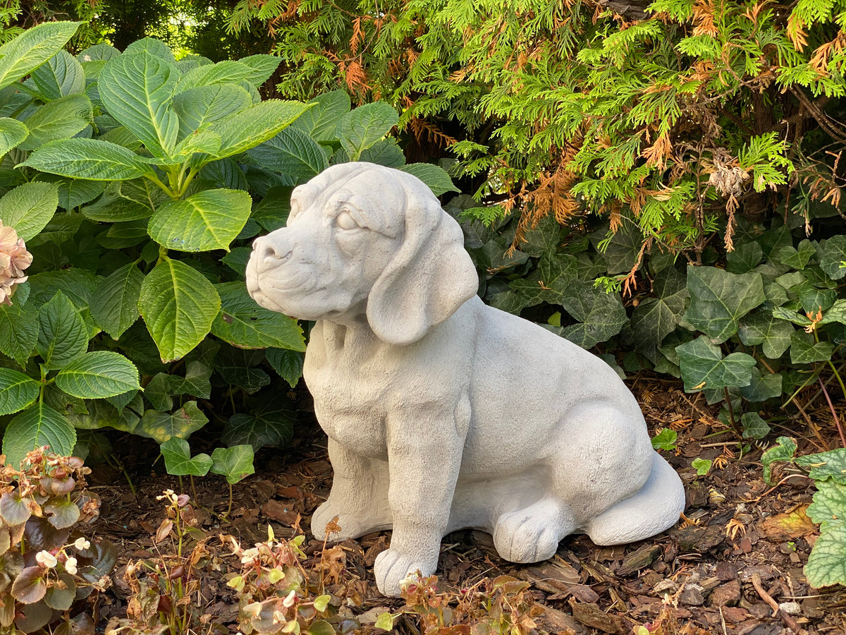Hund S103885, H: 46 cm, 37 kg