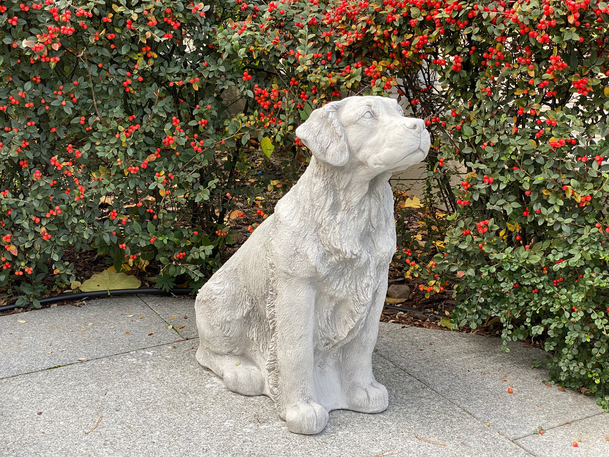 Hund S103889, H: 72 cm, 115 kg