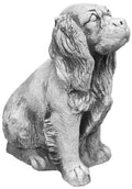 Hund S103909, H: 41 cm, 24 kg
