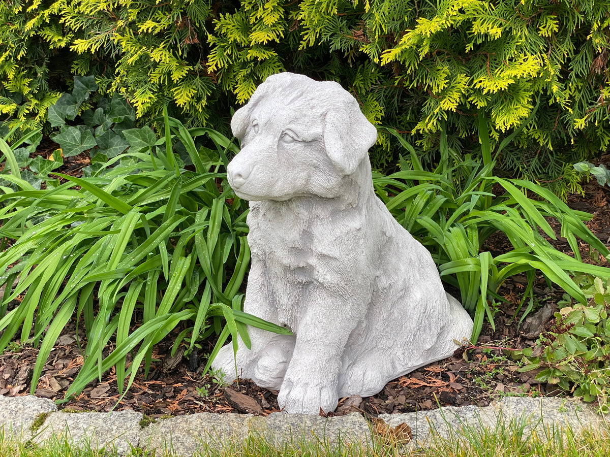 Hund S103911, H: 42 cm, 33 kg