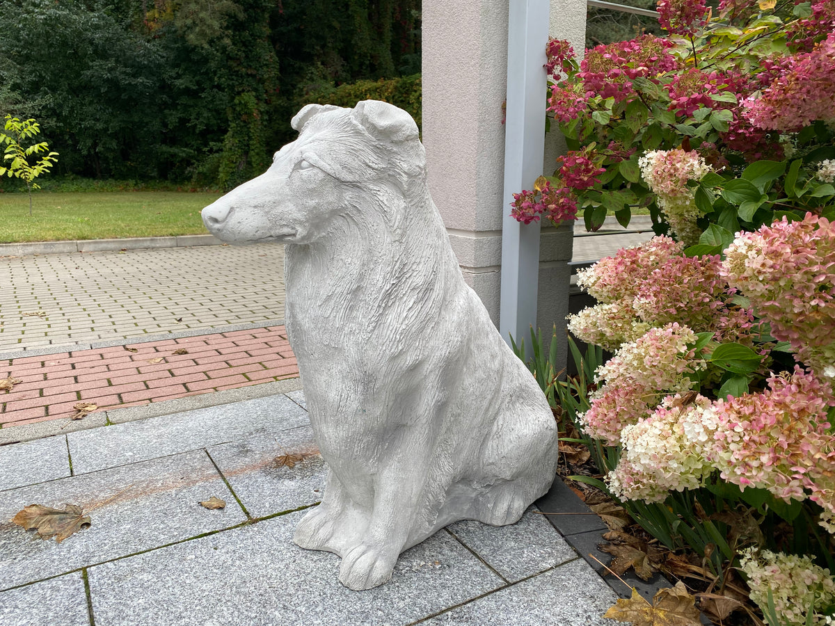 Hund S103918, H: 77 cm, 155 kg