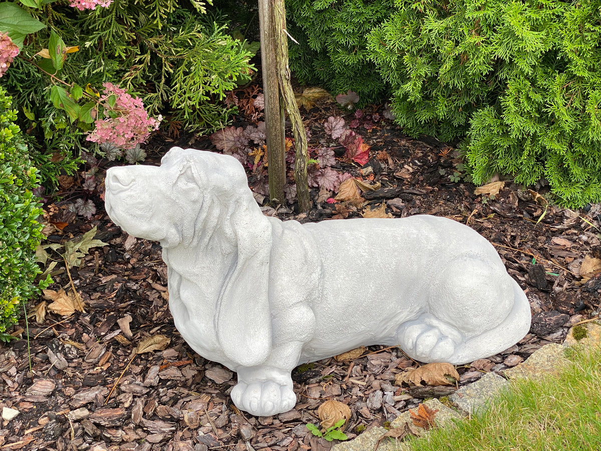 Hund S103934, H: 47 cm, 75 kg