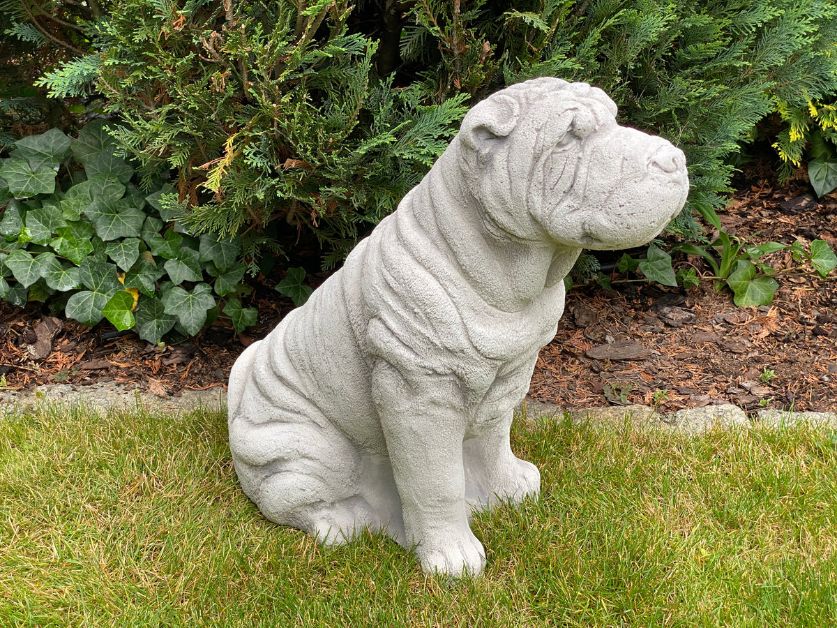 Hund S103935, H: 56 cm, 54 kg