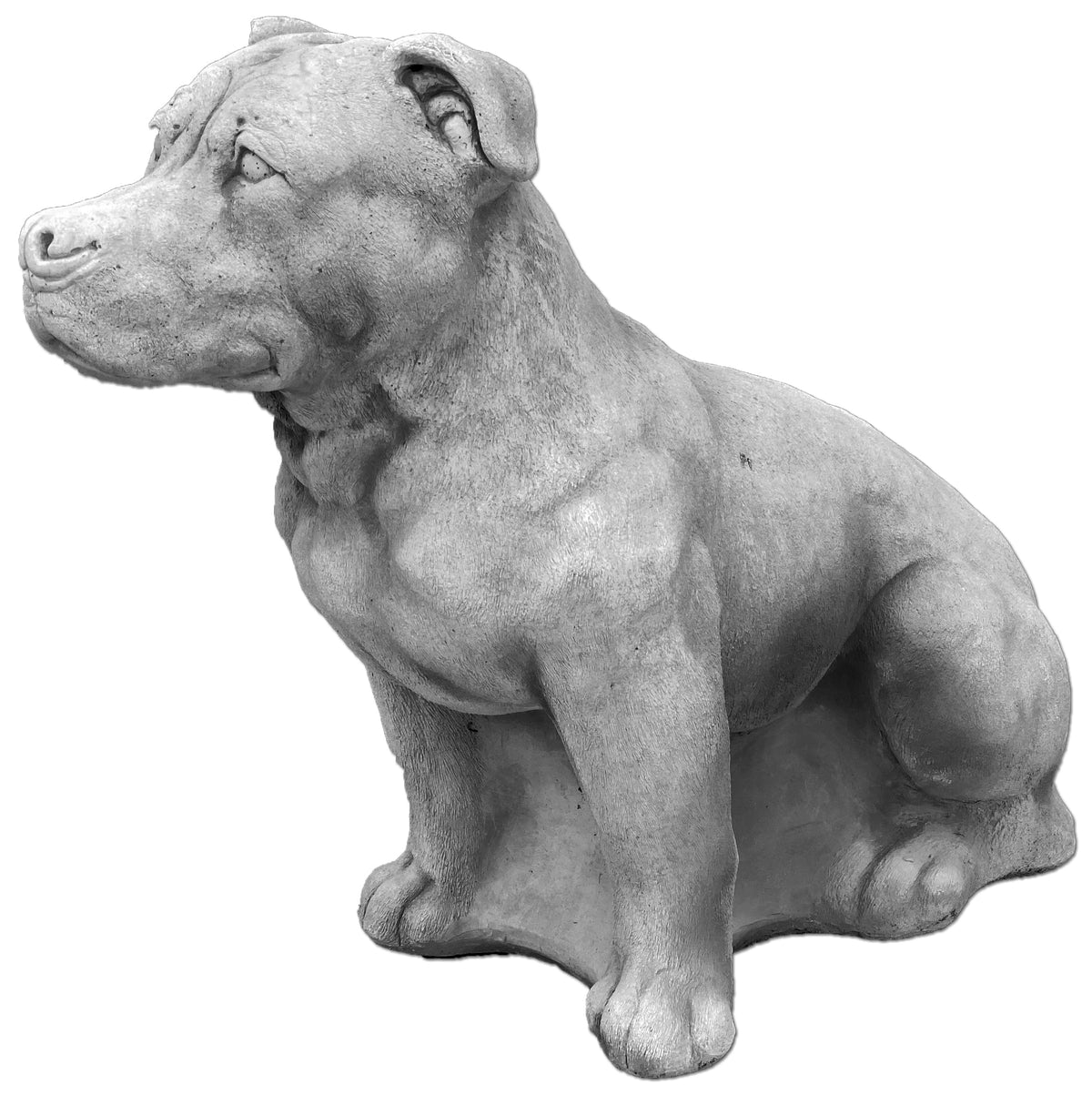 Hund S103937, H: 63cm, 98kg