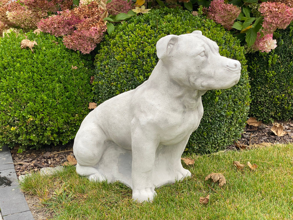 Hund S103937, H: 63cm, 98kg