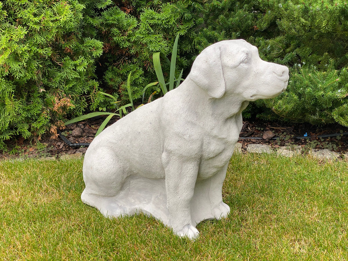 Hund S103938, H: 60 cm, 94 kg