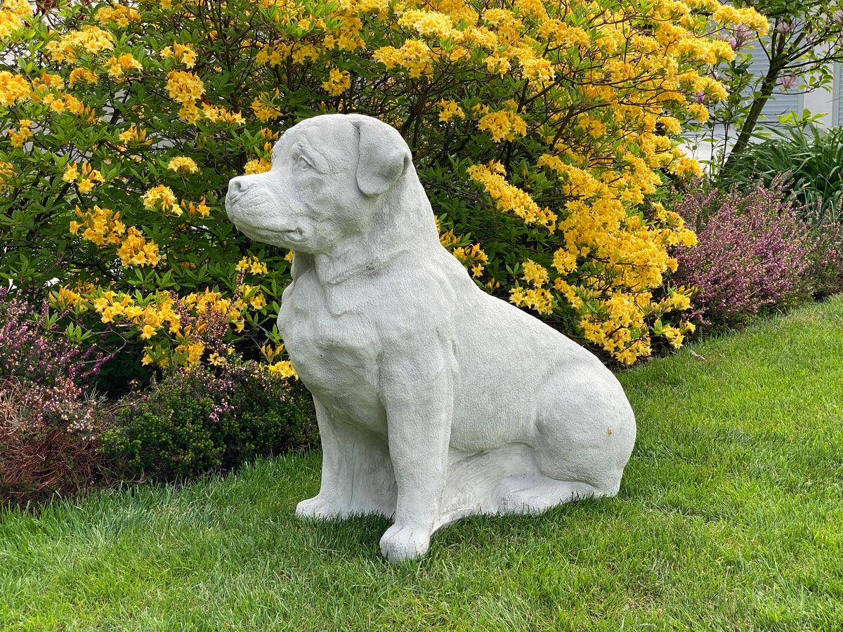 Hund  S103945, H: 77 cm, 165 kg