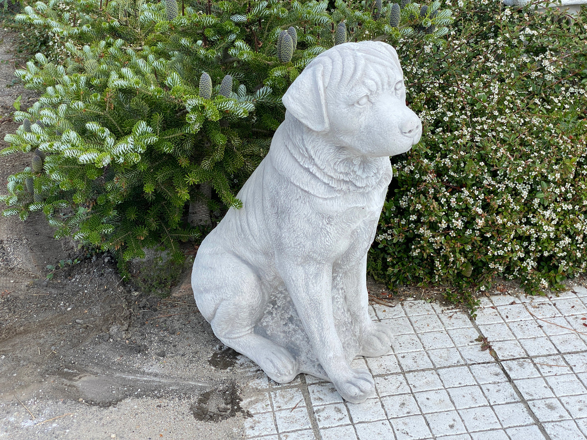 Hund S103947, H: 67 cm, 70 kg