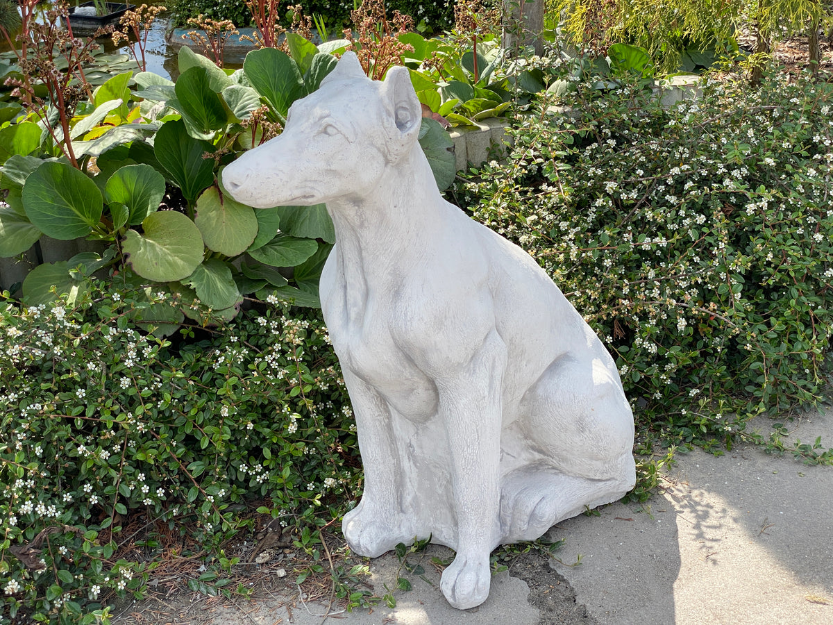 Hund S103951, H: 79 cm, 104 kg