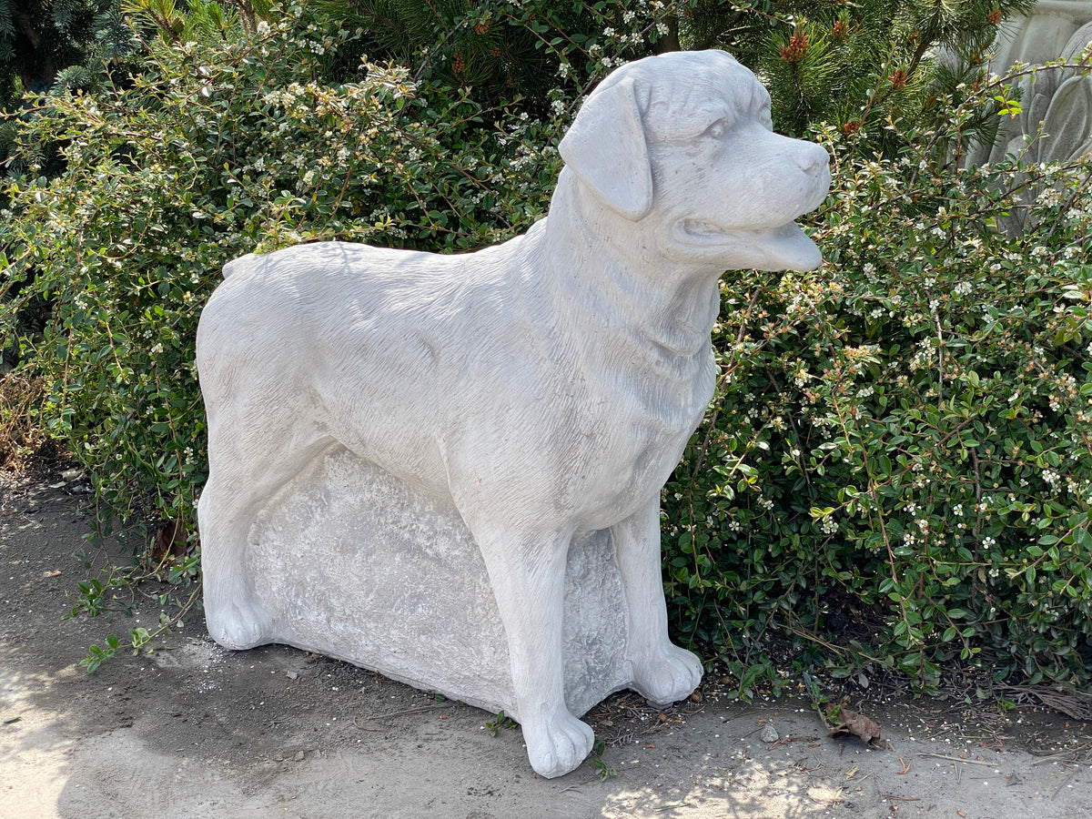 Hund S103954, H: 57 cm, 140 kg