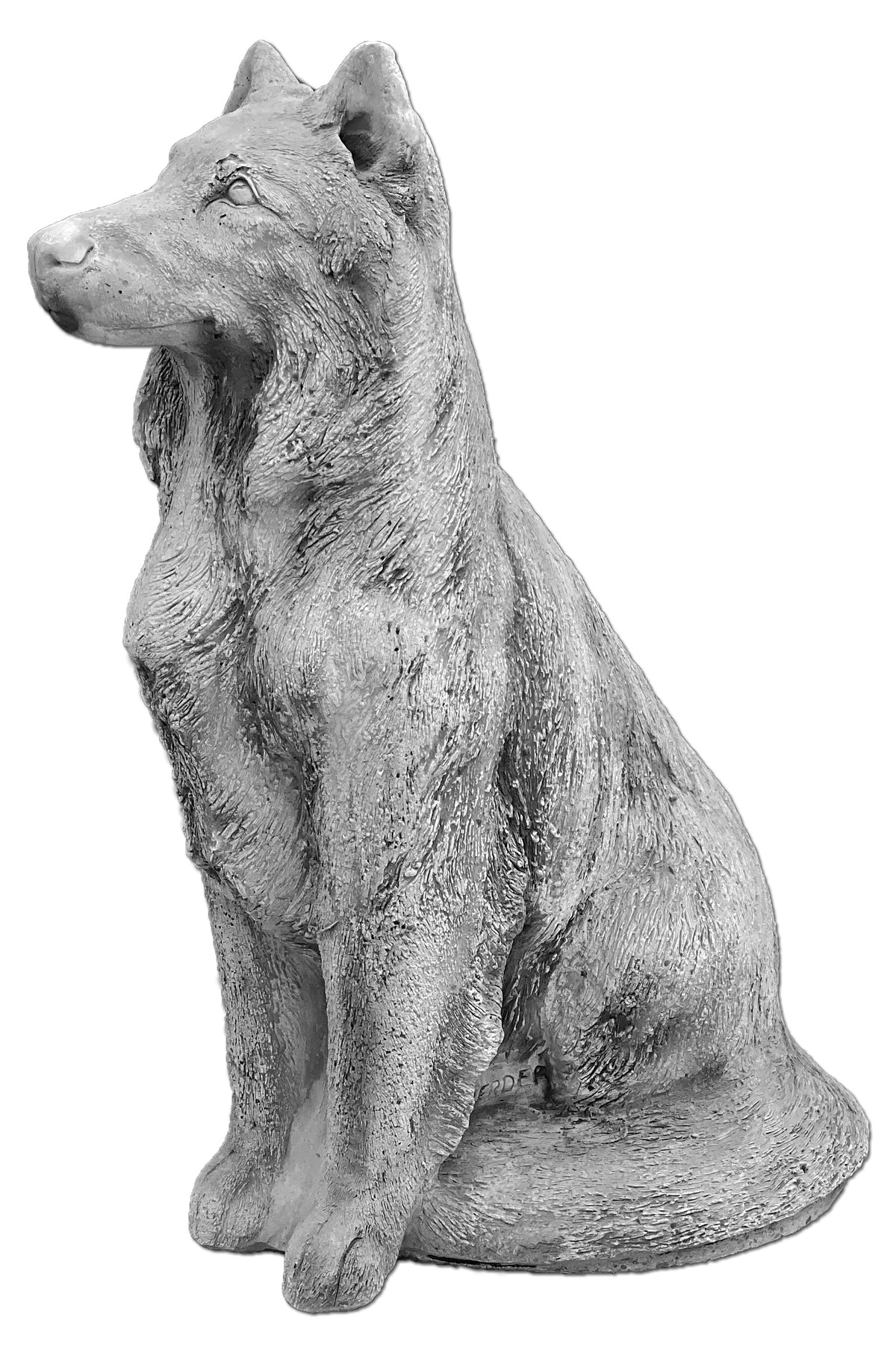 Hund S103955, H: 78 cm, 97 kg