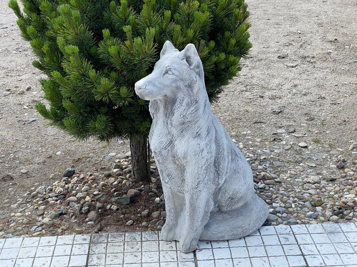 Hund S103955, H: 78 cm, 97 kg