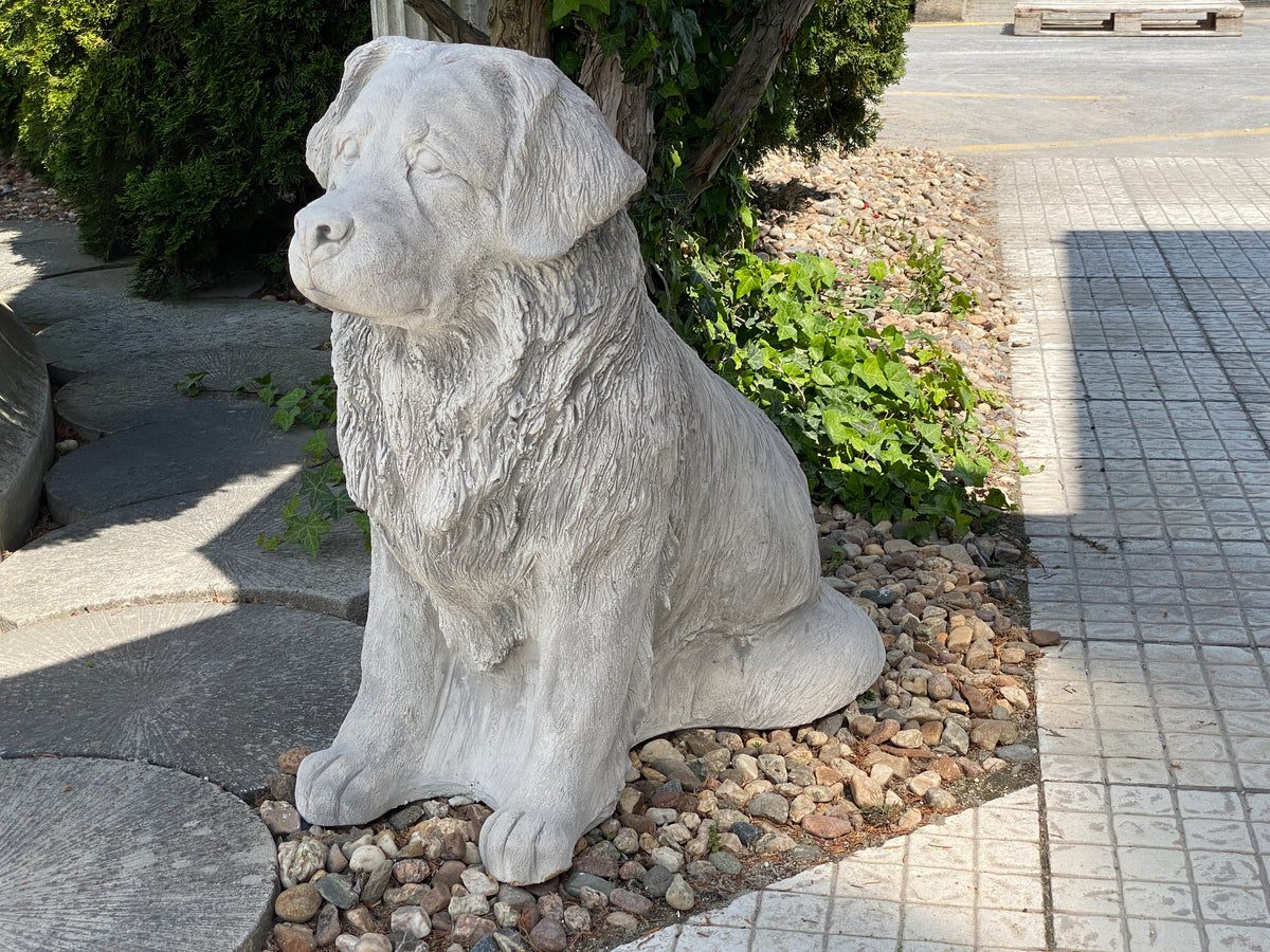 Hund S103957, H: 78 cm, 183 kg