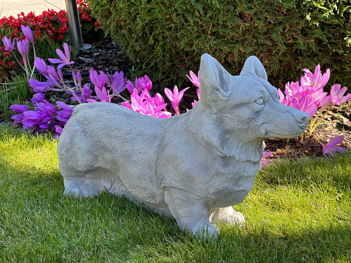 Hund S103965, H: 45 cm, 47 kg