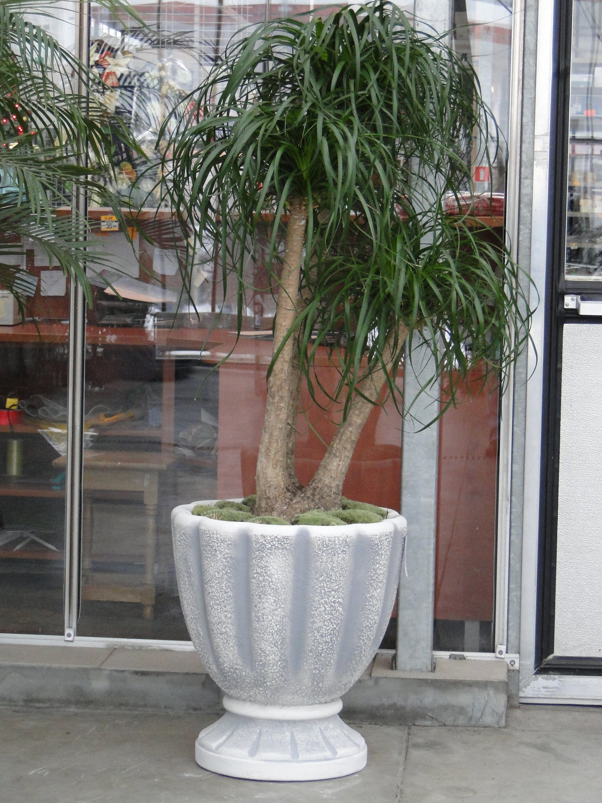 Pflanzgefäß S104046, H: 53 cm, 57 kg