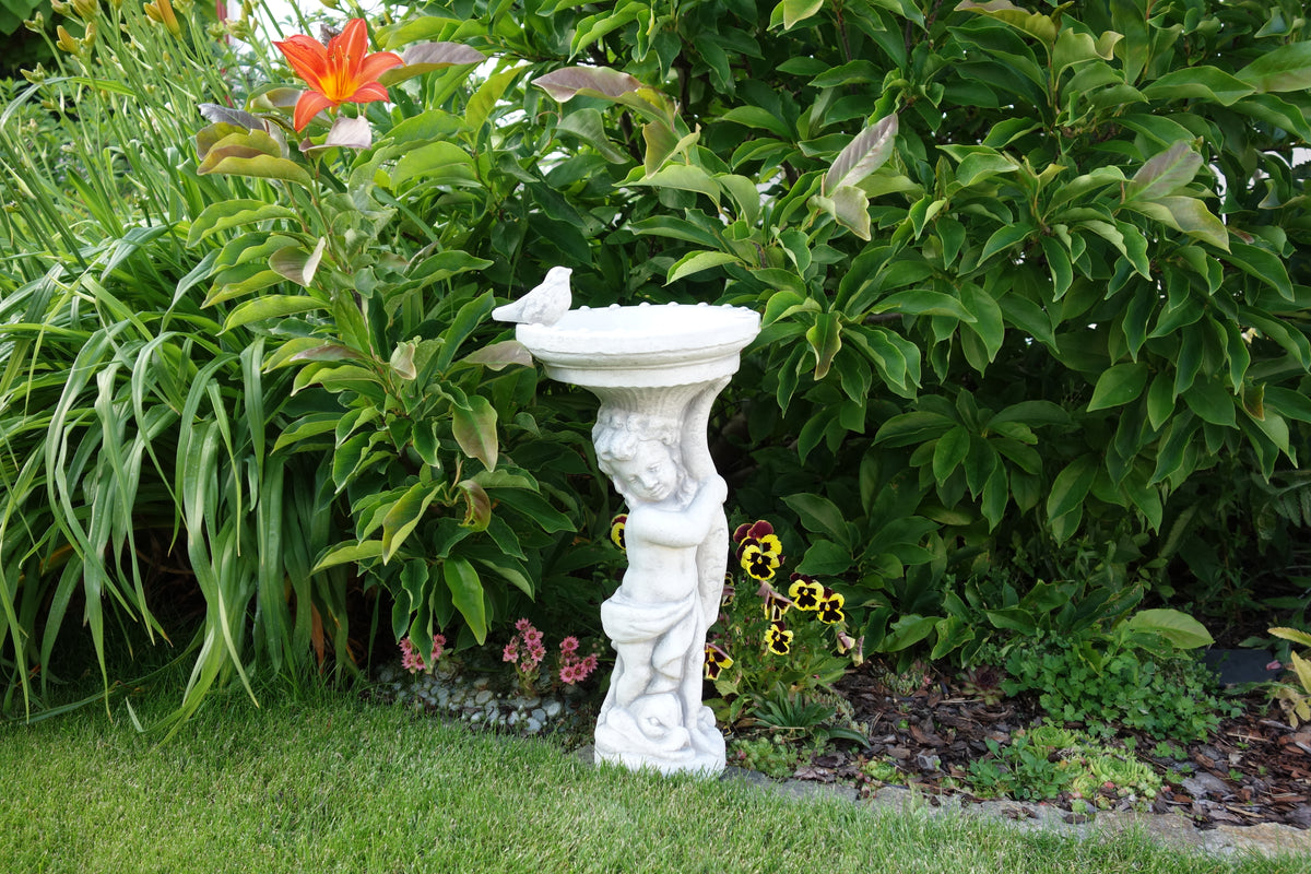 Vogeltränke S104091, H: 60 cm, 18 kg