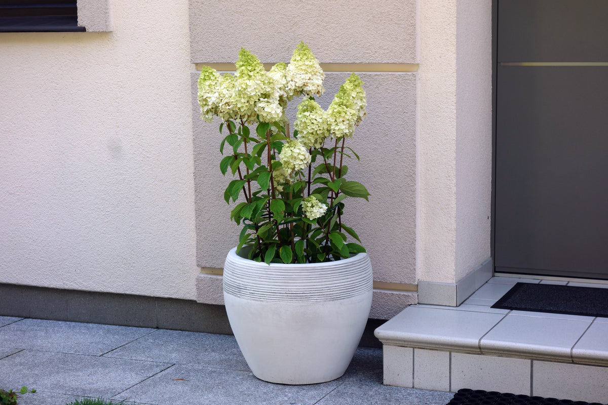 Pflanzgefäß S104117, H: 40 cm, 60 kg