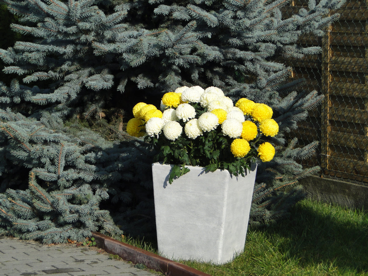 Pflanzgefäß S204058, H: 53 cm, 77 kg