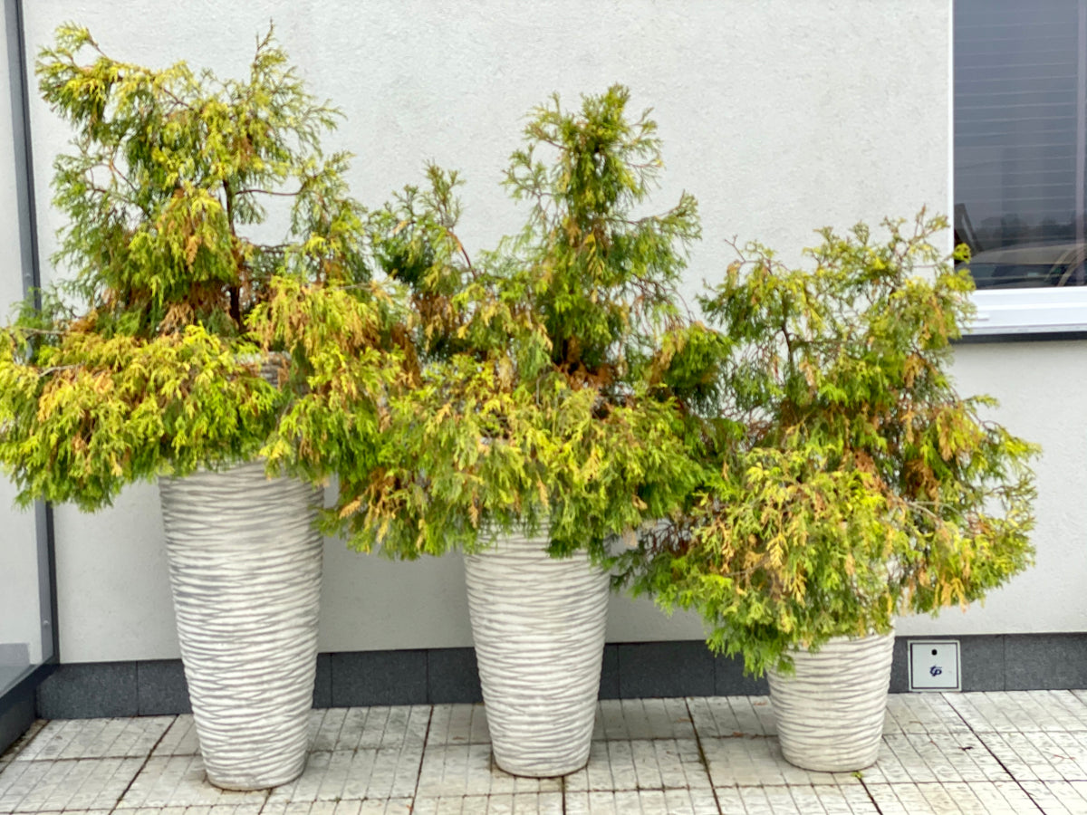 Pflanzgefäß S204093, H: 70 cm, 58 kg