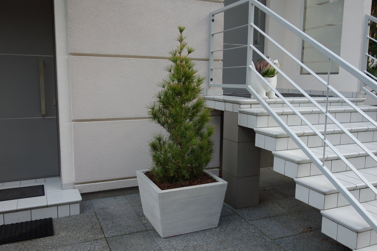 Pflanzgefäß S204105, H: 53 cm, 164 kg